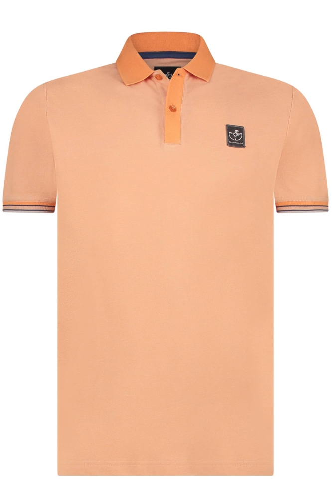 PIQUE POLO VAN KATOEN 46135006 2815